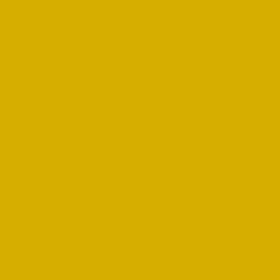 Broom Yellow